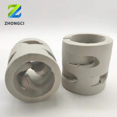 Ceramic Pall Ring – Advanced Products of Raschig Ring